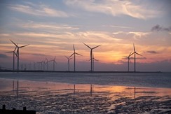 Picture of shoreline with an abundance of wind turbines stretching through the distance-generating wind energy at sunset.