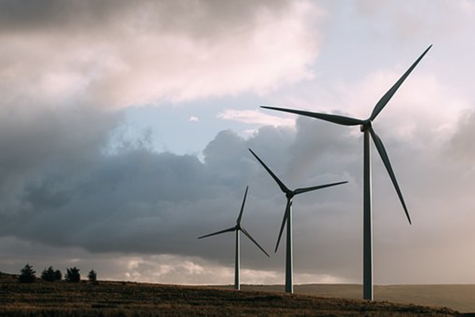 Three large wind turbines in a flat meadow rise towards a cloudy sky