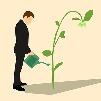 A digital rendering of a person in a suit, their shadow cast forward, watering a vine which bends at the top showing that a few dollar bills have sprouted from the end.