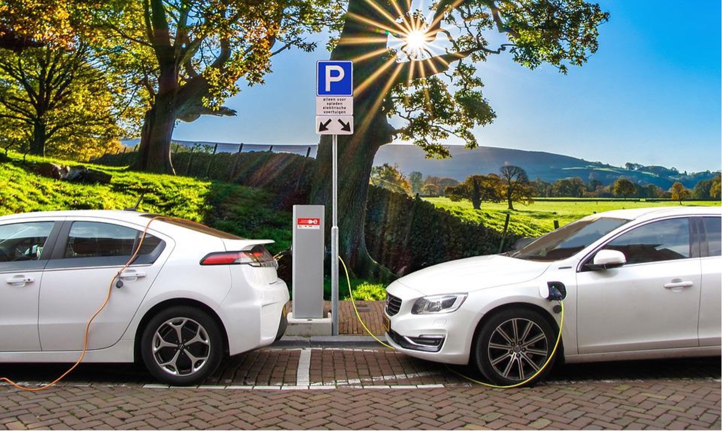 Two white electric and hybrid cars are connected to a charging port in the daytime with a grassy field, trees, and mountains in the background.